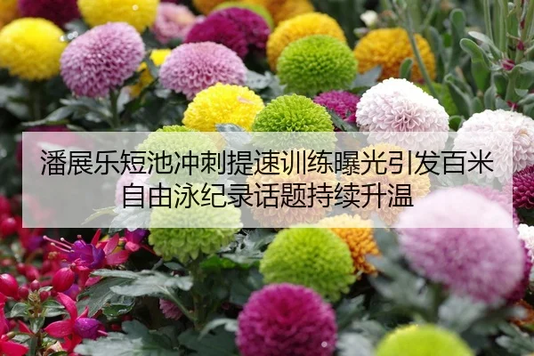 潘展乐短池冲刺提速训练曝光引发百米自由泳纪录话题持续升温
