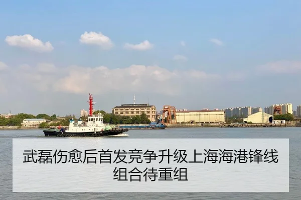 武磊伤愈后首发竞争升级上海海港锋线组合待重组